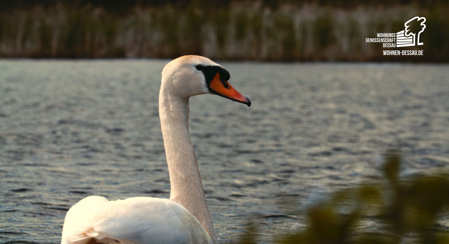 Wohnen in Dessau Zoberberg